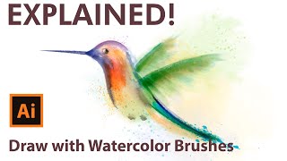 Watercolor Vector Brushes Drawing - How to draw a Hummingbird in Adobe Illustrator