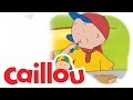 Caillou - Shoo, Shoo Bird, Fly Away!  (S04E15) | Videos For Kids