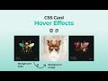 CSS Card Hover Effects | HTML & CSS