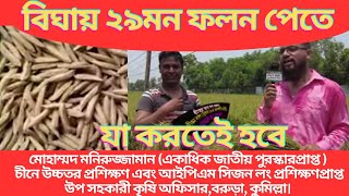 বাংলাদেশের নয়া চমক চিকন ও লম্বা সুগন্ধি ব্রি ধান১০৪ টেক্কা দিবে ভারত পাকিস্তানের বাসমতিকে।Paddy।Rice