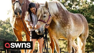 Gigantic 7ft horse weighing 3,000lbs has struck an unlikely friendship with a smaller horse | SWNS