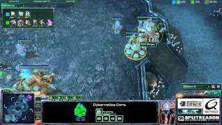 SHOUTcraft: Match 2 - IdrA (Z) vs Minigun (P)