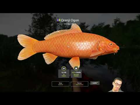 Russian Fishing 4 – New Player Guide 2024 – P45 Trophy Roach at Mosquito and 3rd Copper Trip