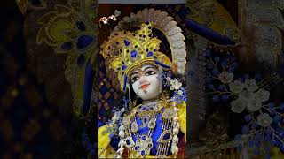 कृष्ण भजन 🙏हमारे दो ही रिश्तेदार | Hamare do hi rishtedar #bhajan #radhakrishna #krishna #ram