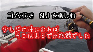 ゴムボートの釣りを研究　もっともっと安定して魚が釣れるようになりたくて　今日は一人でSLJ