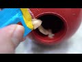 How To Use Kong Dog Toy  Everything About The BEST Dog Toy In The World