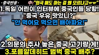 |중국반응|중국 거리 독일 어린이 인터뷰에 중국인들 당황\