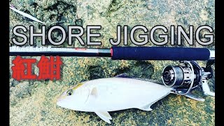 [岸拋 鐵板]shore jigging 紅魽