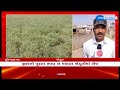 gujarat surendranagar farmers troubled over getting unfair prices of cumin seeds