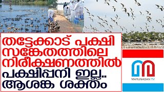 പക്ഷിപ്പനിയില്‍ ശാസ്ത്രീയ പഠനം അവ്യക്തം    I   Bird Flu Alappuzha