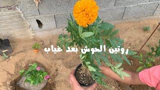 روتيني يوم الجمعة طلعنا الحوش بعد غياب وروقان العصرية مع اهلي زرعنا شتلات جديده🪴🦋☕️