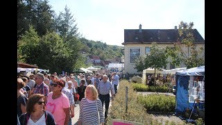 Rammelsbach Europäischer Bauernmarkt. Gang über den Markt