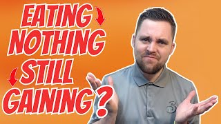 Eating NOTHING But Still Gaining Weight - Hashimoto’s Nutrition Help