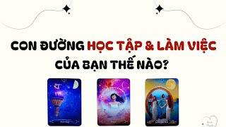 Con đường học tập, làm việc của bạn thế nào? 🎨🥁🎷- Chọn tụ bài (Timeless)