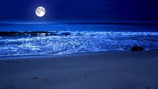 Sleep By The Sea All Night With The  Moon And Relaxing Sparkling Waves on Zaviva