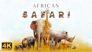 African Safari 4K • Scenic Wildlife Film With African Music