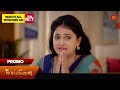 Mr.Manaivi - Promo | 26 Nov 2024 | Tamil Serial | Sun TV