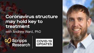 Coronavirus structure may hold key to treatment: Scripps Research COVID-19 updates