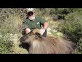 2021 season highlights lake hawea hunting safaris