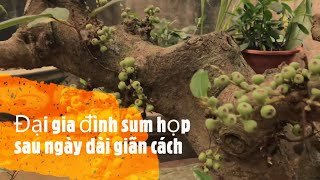 Sum họp gia đình sau ngày dài giãn cách với món ăn đặc biệt