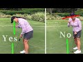 Hole More Putts - Adjust Your Eyeline