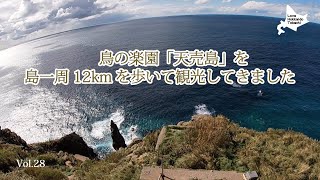 天売島一周12kmを歩いて観光してきました