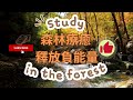 Study in the forest 森林療癒, 釋放負能量，學習音樂和放鬆音樂🎵 幫助集中注意力，閱讀時聽，深層療癒，森林音樂, 睡眠音樂 療癒音樂,音樂治療,焦慮和憂鬱🌿治癒心靈、身體和靈魂