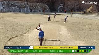 WARRIORS(MARYOG) vs Pallu B Live Cricket Match | Haati Cricket Cup 2025 ( Season 02 ) Live - Fagu,Ra