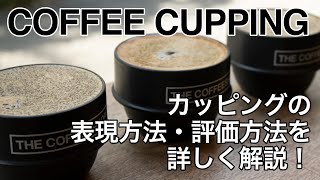 【スペシャルティコーヒーのカッピング】表現方法・評価方法を詳しく解説します！