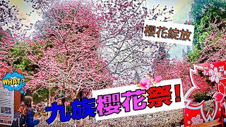 【自由行vlog】二月份九族文化村櫻花祭!!??  懷舊遊樂設施!!