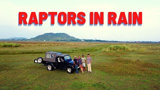 Raptors in Rain  - 4K || Chennai Outskirts || Naresh Vadrevu