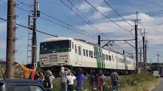 185系臨時特急蔵の街川越号(南古谷駅近くにて)