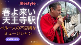 【春よ来い】天王寺駅で出会ったペルー人の不思議なミュージシャン　A mysterious Peruvian musician I met at Tennoji Station