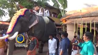 പാണ്ടിക്കാട് കരിങ്കാളികാവ്‌ ക്ഷേത്രത്തിൽ താലപ്പൊലി ആഘോഷം |Pandikkad|Thalappoli|WandoorVisionNews|