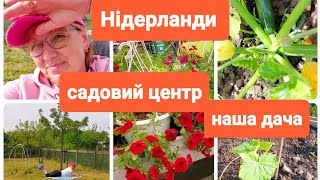 Садовий центр в Нидерландах Дешеві квіти Що купили? Нідерланди Життя в селі @elenaholland5