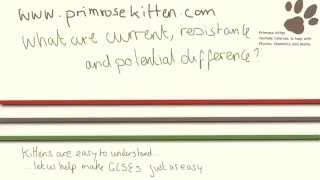 What are current, resistance and potential difference?