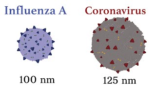 Difference Between The Flu and Coronavirus?