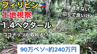 山羊ビジネスの為の土地視察。第一弾！