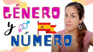 GÉNERO y NÚMERO en español: Masculino, Femenino, Singular y Plural - Cómo se forman Género y Número?