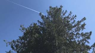 | all the planes that have flew over my house from 8:00am to 8:00pm (pacific standard time) |