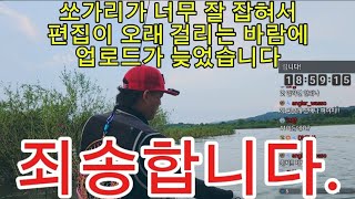 [모든TV]연천군 임진강 상류 던지면 쏘가리가 나오네 ㅋㅋ#fishing #쏘가리 #낚시 #구독 #좋아요 #라이브