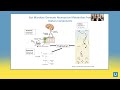 microbiome and gut health emeran a. mayer md ucla digestive diseases