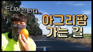 🇦🇺(ENG/SUB)드디어...!? 일 하러 가는 Vlog [EP.12]