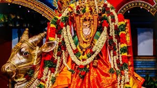 Aruppukottai muthumariamman panguni pongal pookuli thiruvila ||அருப்புக்கோட்டை பங்குனி பொங்கல்