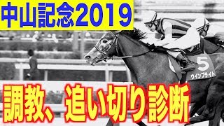 【中山記念2019】やっぱりディアドラなのか。。