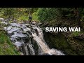 SAVING WAI - Protecting the Source of Kauai’s Drinking Water