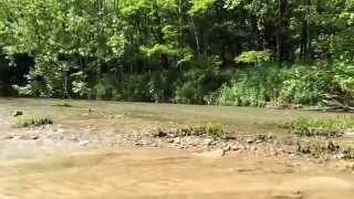 Middlefork Of the Vermilion River near Oakwood, IL.  Only official scenic River in IL.