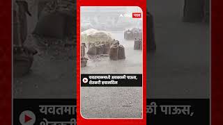 Yavtmal Rain Update : यवतमाळमध्ये अवकाळी पाऊस,शेतकरी हवालदिल #abpमाझा