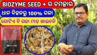 BIOZYME SEED PLUS ର ଚମତ୍କାର ଧାନ ବିହନ ରୁ 100% ଗଜା