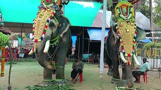 ചേരകുളങ്ങരക്ഷേത്രോത്സവം മധുരപ്പുറം കണ്ണനും തടത്താവിള സുരേഷും